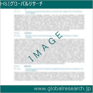 グローバルリサーチ調査レポートのイメージ